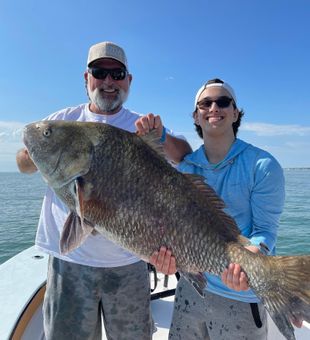 Black Drum caught in Okatie, SC